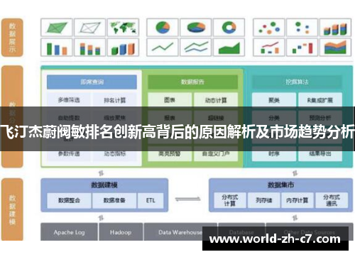 飞汀杰蔚阀敏排名创新高背后的原因解析及市场趋势分析 飞汀杰蔚阀敏排名创新高背后的原因解析及市场趋势分析