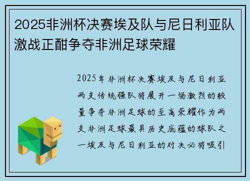 2025非洲杯决赛埃及队与尼日利亚队激战正酣争夺非洲足球荣耀