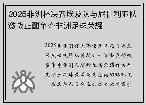 2025非洲杯决赛埃及队与尼日利亚队激战正酣争夺非洲足球荣耀