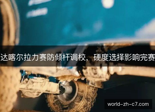 达喀尔拉力赛防倾杆调校，硬度选择影响完赛